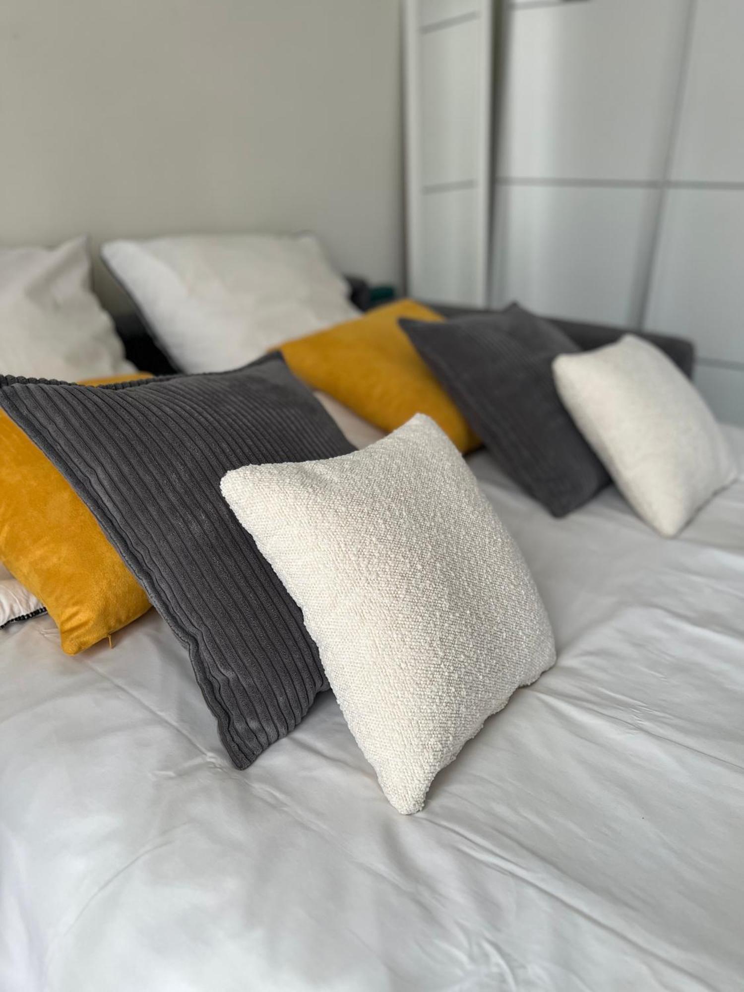 Grand Lumineux En Plein Coeur De Appartement *